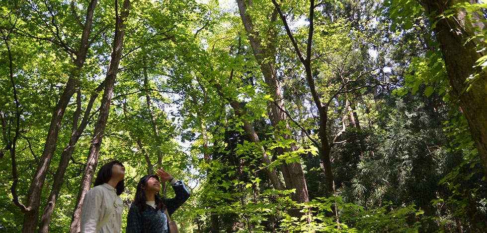 札幌周辺自然歩道