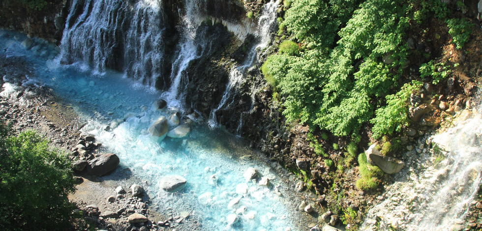 白ひげの滝メイン