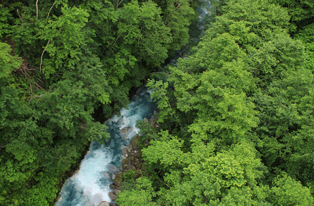 ブルーリバー橋の裏手
