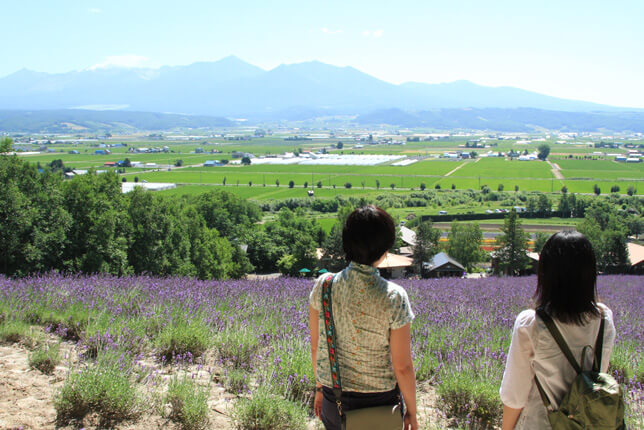 ファーム富田