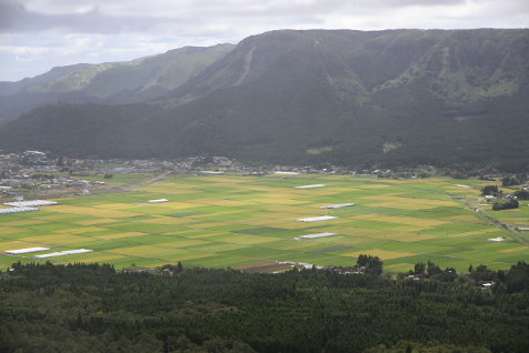 阿蘇平野