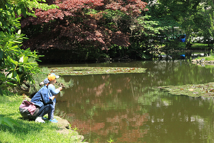 赤れんがの池と親子