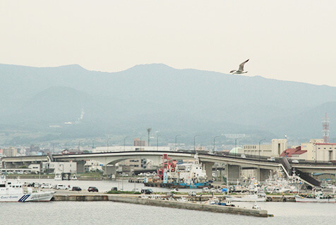 甲板からの景色
