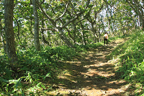 地球岬散策道を歩く