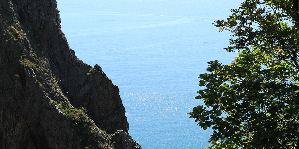 地球岬の散策道から見た風景