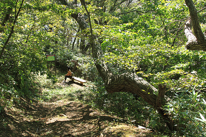 地球岬の散策道で休憩