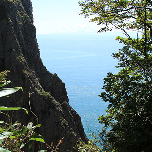 地球岬の散策道から見た景色2