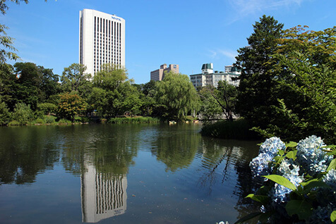 菖蒲池とビル群