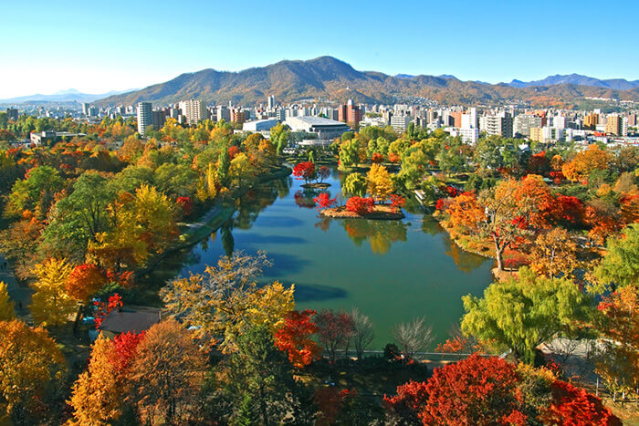 中島公園の紅葉