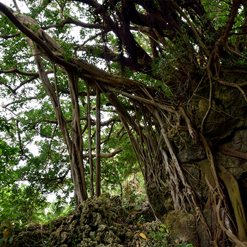拝所やビーチなど島内散歩がおすすめの記事イメージ