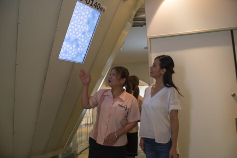 発酵の様子を見学