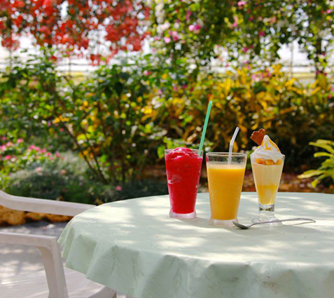 ユートピアファーム宮古島