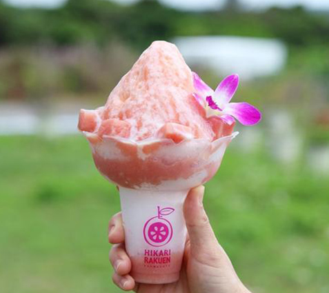 光楽園（ひかりらくえん）