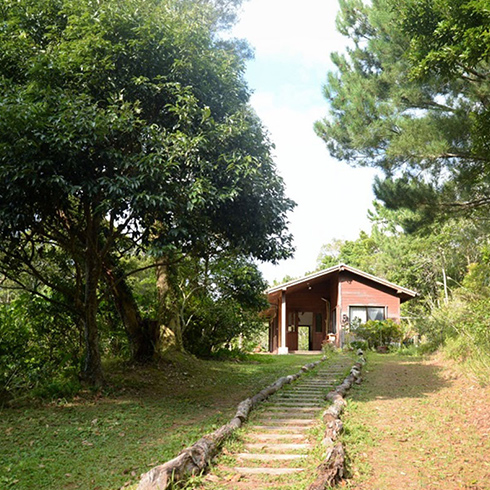 探す時間さえも楽しい「隠れ家的カフェ」