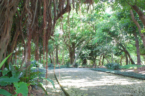 一幅の絵画のような素晴らしい識名園の景観