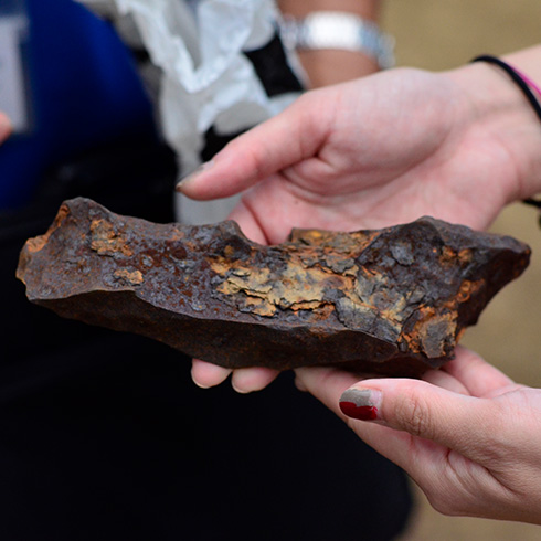 歴史的背景が良く分かると庭園散策がいっそう楽しい