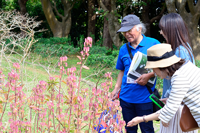 みずみずしい亜熱帯の植物と眺望に心が潤う