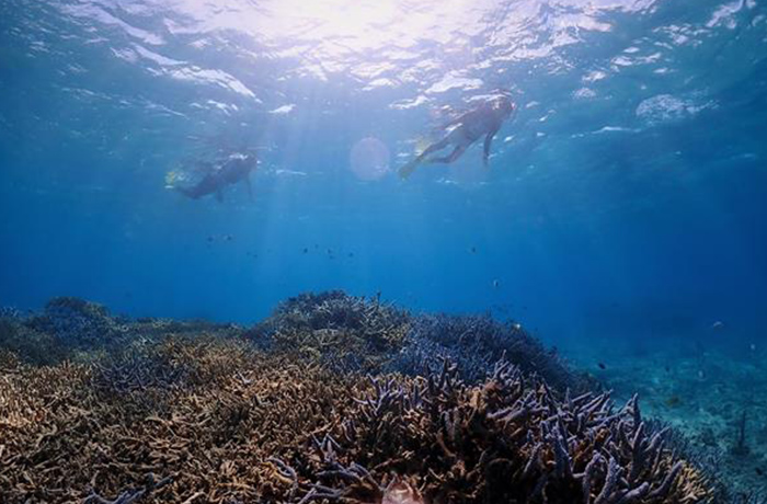 八重山遠見台からの絶景