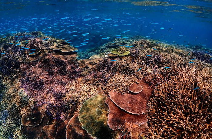 八重山遠見台からの絶景