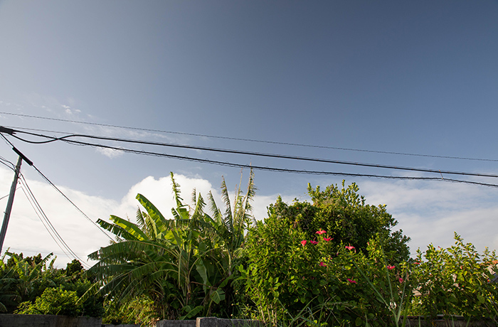 おしゃべりの風景