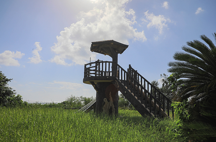 おしゃべりの風景