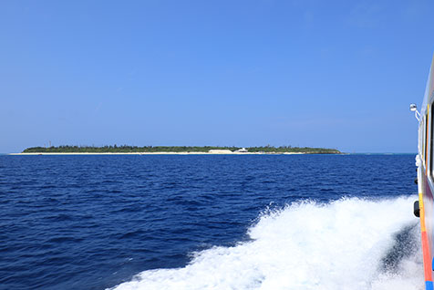 水納島ってどんなところ…？