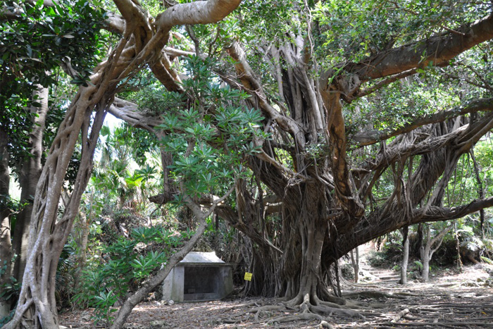 シヌグ堂／浜比嘉島