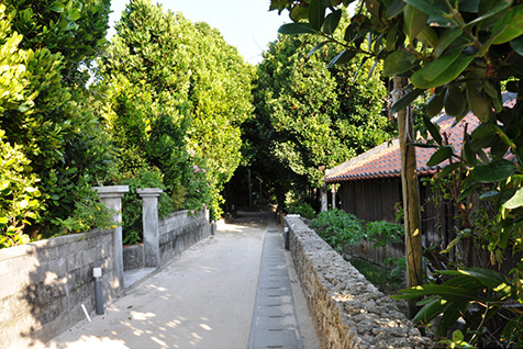 渡名喜島ってどんなところ？