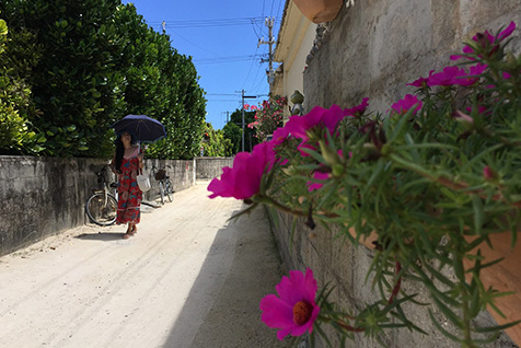 自転車やレンタカーで回る渡名喜島散策