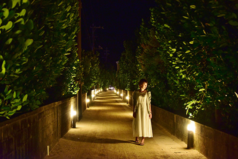 フットライトで照らされる渡名喜島の村道一号線