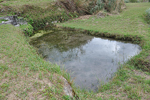 みふーだー（水田）