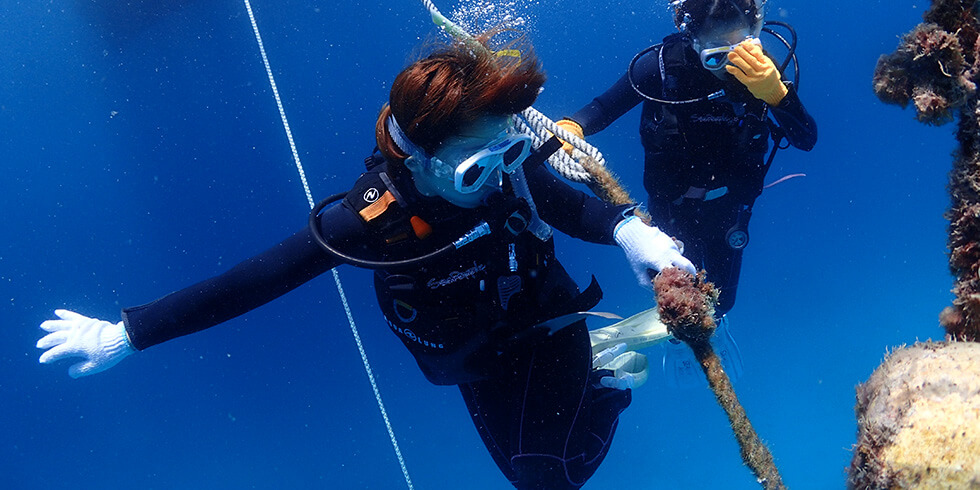 阿嘉島でダイビング！美しい海を体感