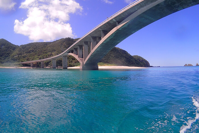 阿嘉島でダイビングの記事イメージ