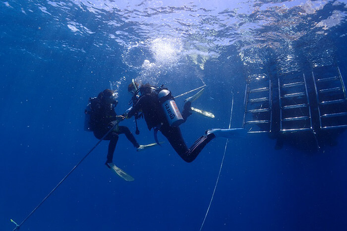 阿嘉島でダイビングの記事イメージ