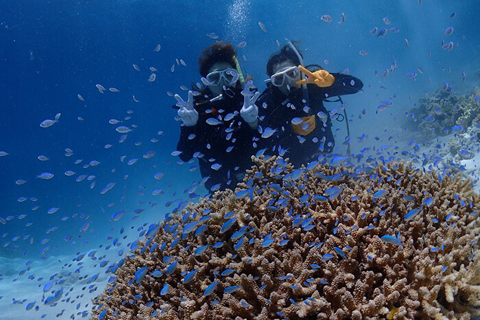 阿嘉島でダイビングの記事イメージ