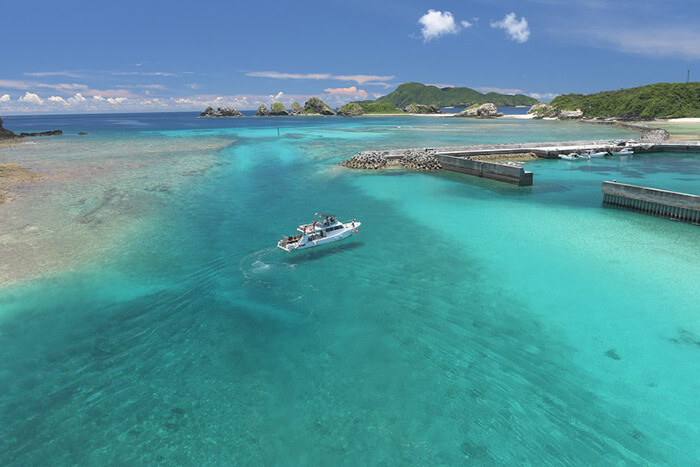 阿嘉島でダイビングの記事イメージ