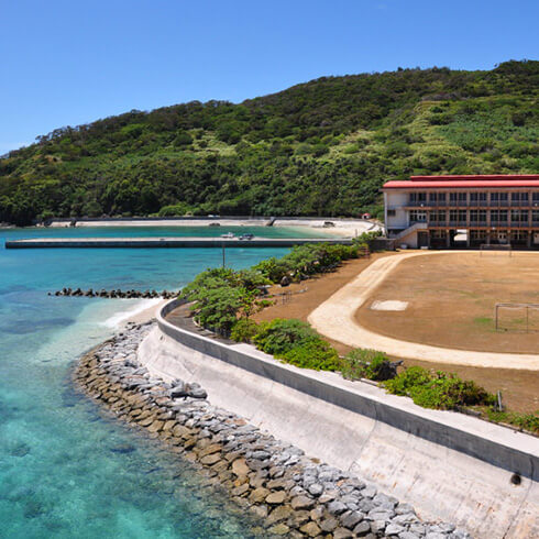 阿嘉島でダイビングの記事イメージ