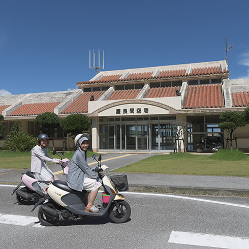 阿嘉島でダイビングの記事イメージ