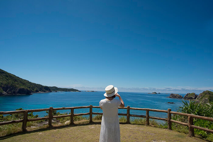 阿嘉島でダイビングの記事イメージ