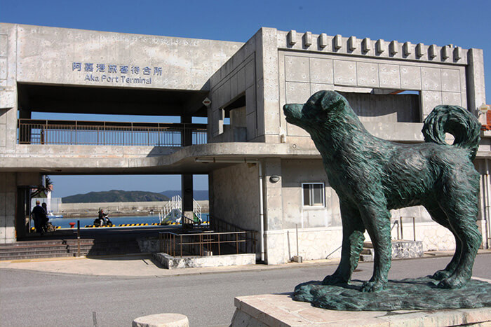 映画「マリリンに逢いたい」のシロの銅像の記事イメージ