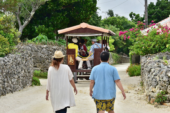水牛車で島を案内