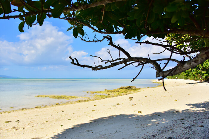 カイジ浜は別名で「星砂の浜」