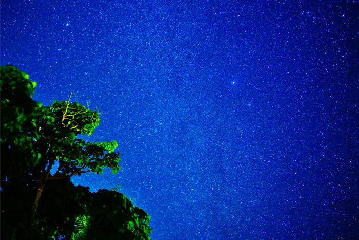 空を見上げれば満天の星たち