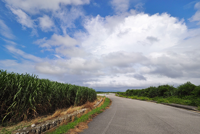 シュガーロード