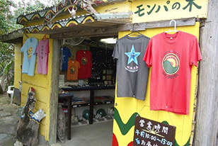 モンパの木の雑貨写真