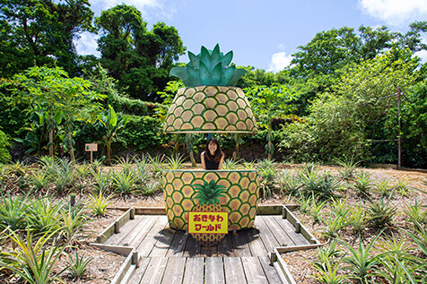 赤瓦の琉球古民家の並ぶ琉球王国