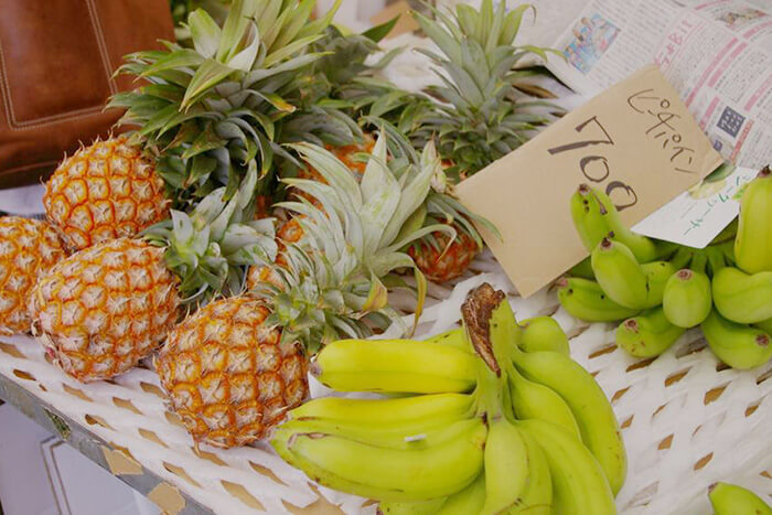 まずは牧公設市場をぶらりと散策しようの記事イメージ