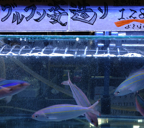 ～飾菜美酒～ 沖縄 芯酔屋（しんすいや）