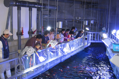 バックヤードツアー