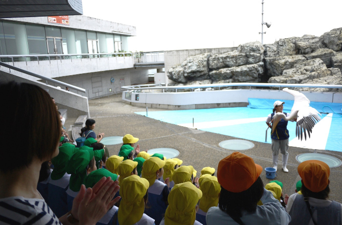 画像⑤うみたまパフォーマンス